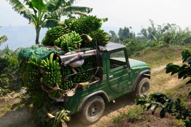 Bananentransport auf einer Gleitchirmreise in Kolumbien